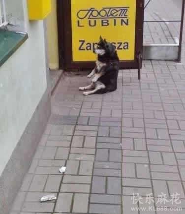 2013062416275059345.jpg