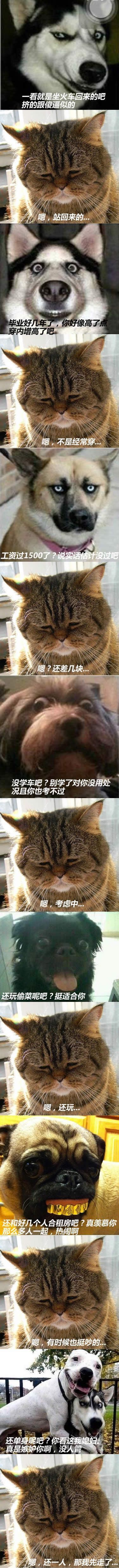 0.jpg